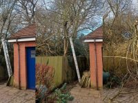 Tree Removal Job In Pulborough – West Sussex